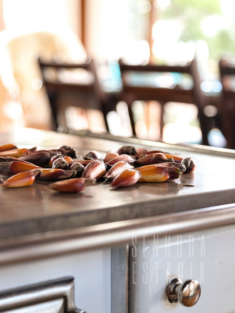 Rancho del Canarinho, Cocina con Vista.