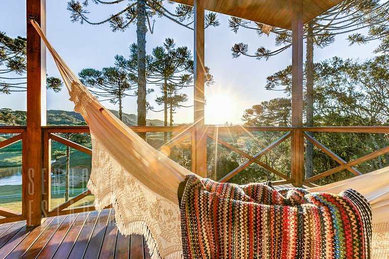 Colline des Araucarias Nature Famille Montagne