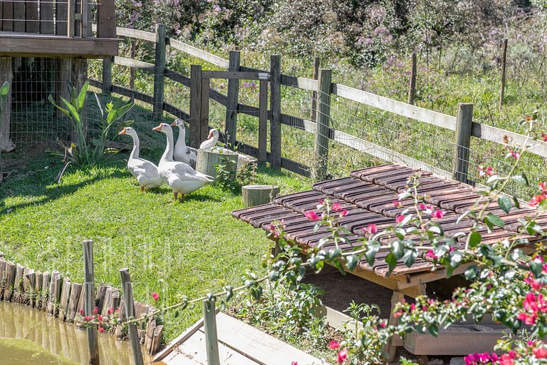 Lakeside Cabin - Villas Mornas: Nature, Jacuzzi