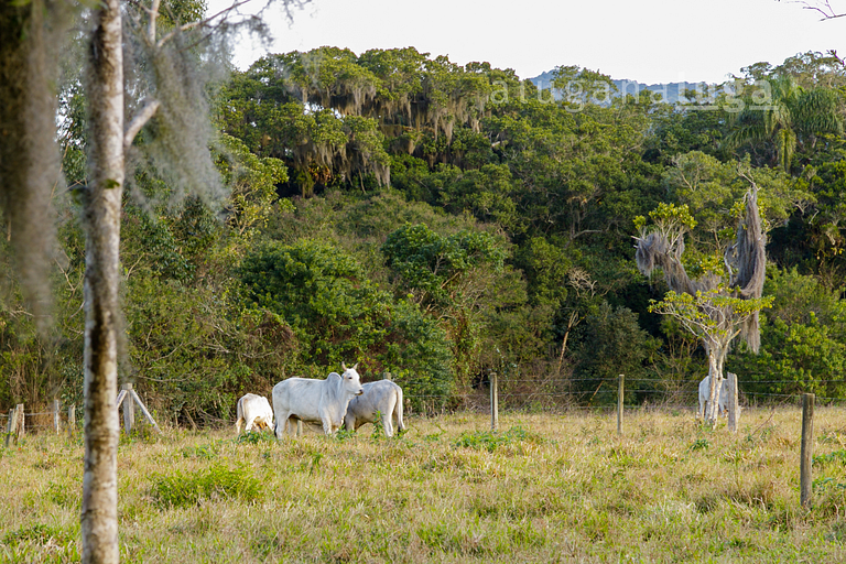 Nature Hideaway - Conforto e paz em Florianópolis