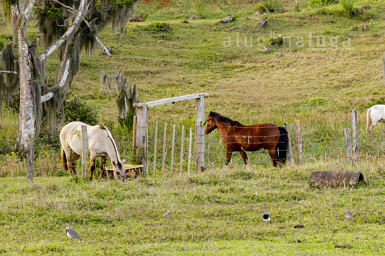 Refugio Natural – Comodidad y Paz
