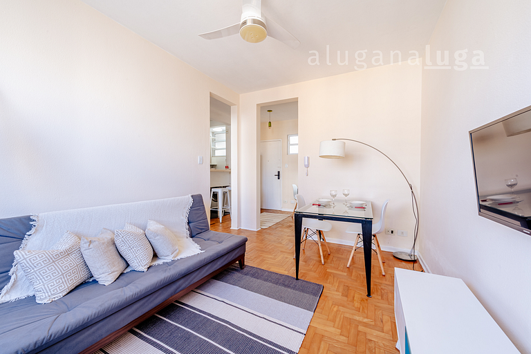 Comfortable Apt in Downtown São Paulo