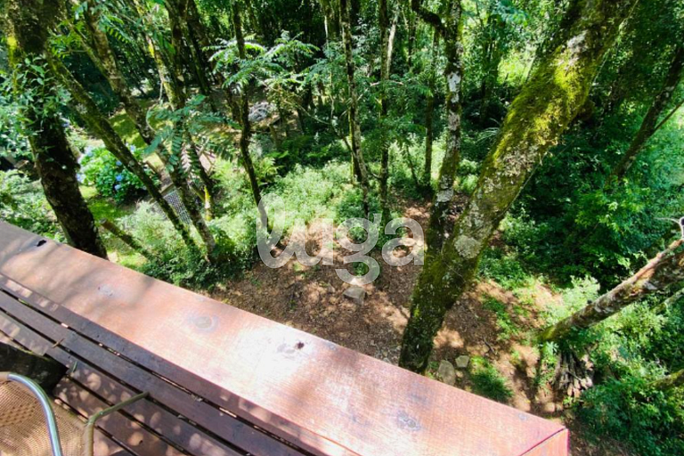 Suíte Top – Entre Bosques de Gramado