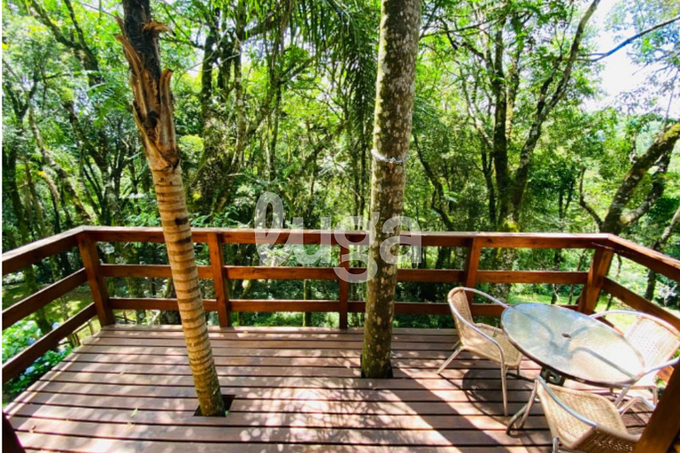 Suíte Top – Entre Bosques de Gramado