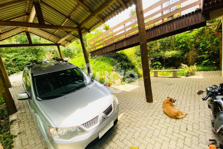 Suíte Top – Entre Bosques de Gramado