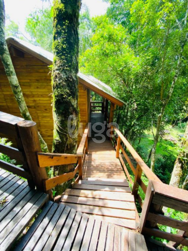 Suíte Top – Entre Bosques de Gramado