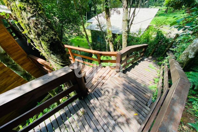 Suíte Low – Entre Bosques de Gramado