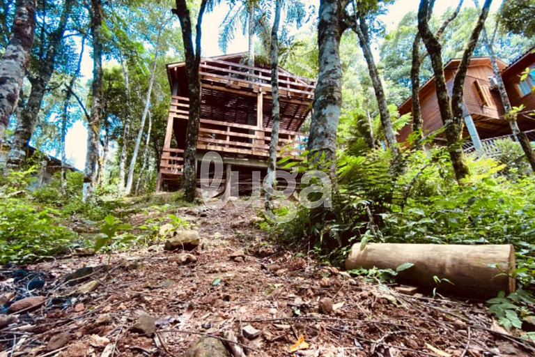 Suíte Low – Entre Bosques de Gramado