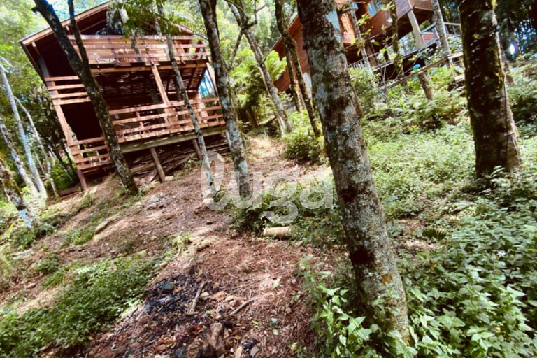 Suíte Low – Entre Bosques de Gramado