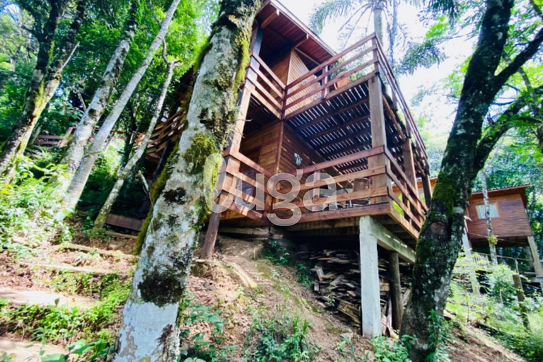 Suíte Low – Entre Bosques de Gramado