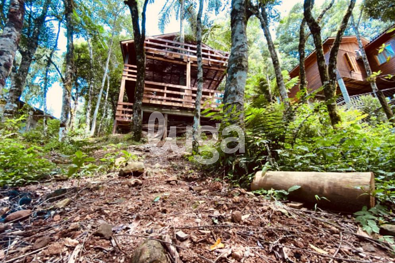 Suíte Low – Entre Bosques de Gramado