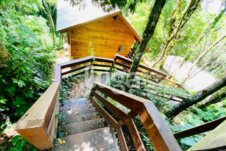 Suíte Low – Entre Bosques de Gramado