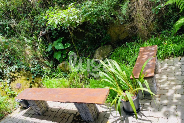 Suíte Low – Entre Bosques de Gramado