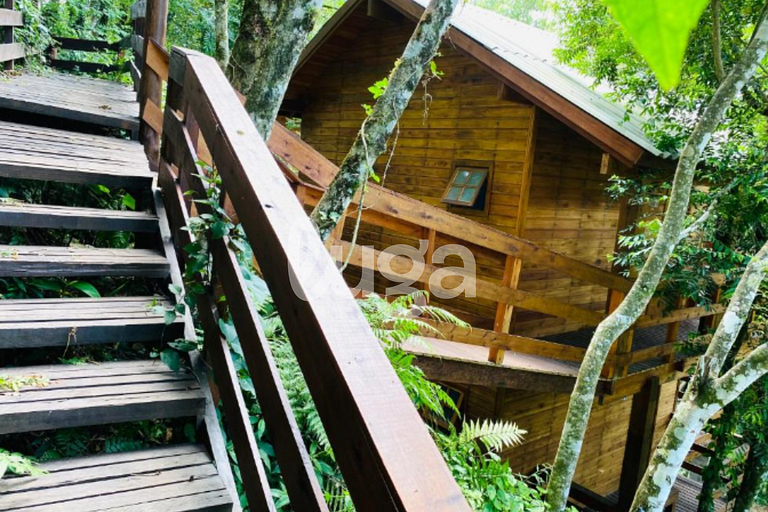 Suíte Low – Entre Bosques de Gramado