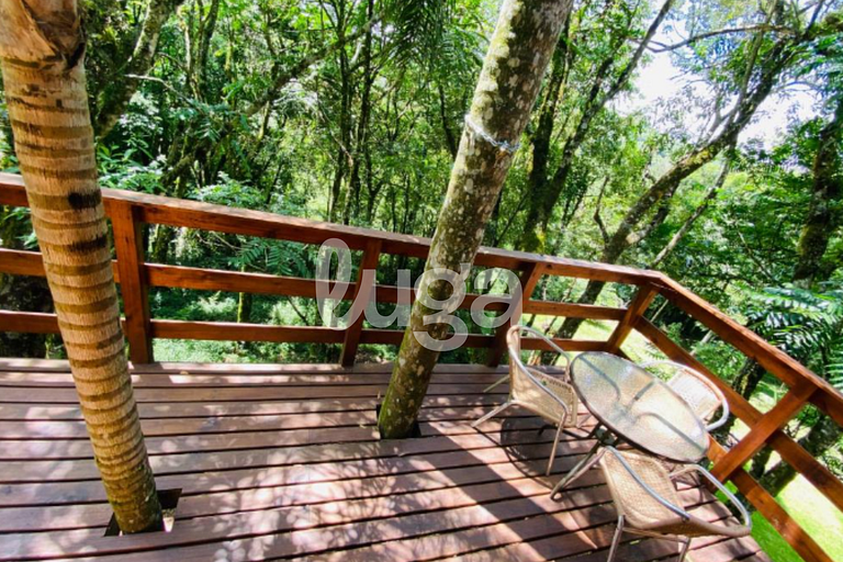 Suíte Low – Entre Bosques de Gramado