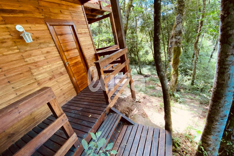 Suíte Low – Entre Bosques de Gramado