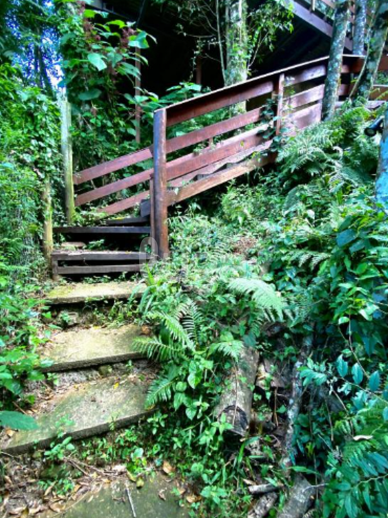 Suíte Low – Entre Bosques de Gramado