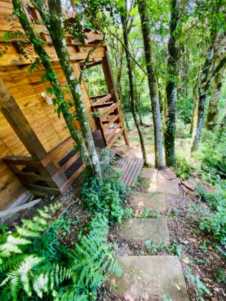 Suíte Low – Entre Bosques de Gramado