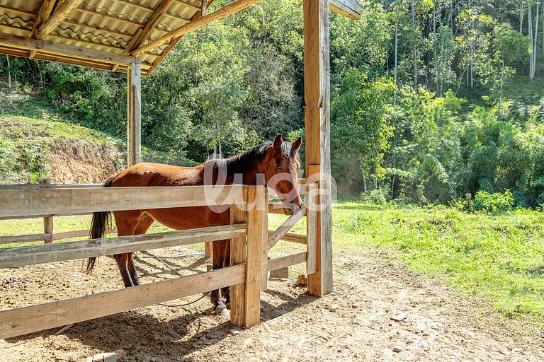 Vieira Eco Pousada – Suíte Flex Vanir