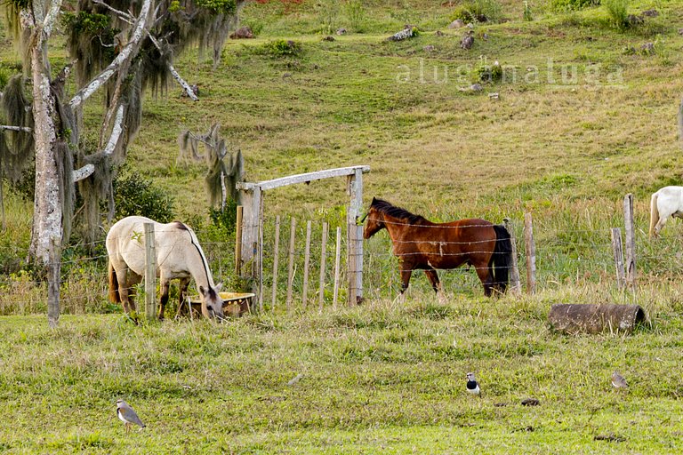 Nature Hideaway - Conforto e paz em Florianópolis
