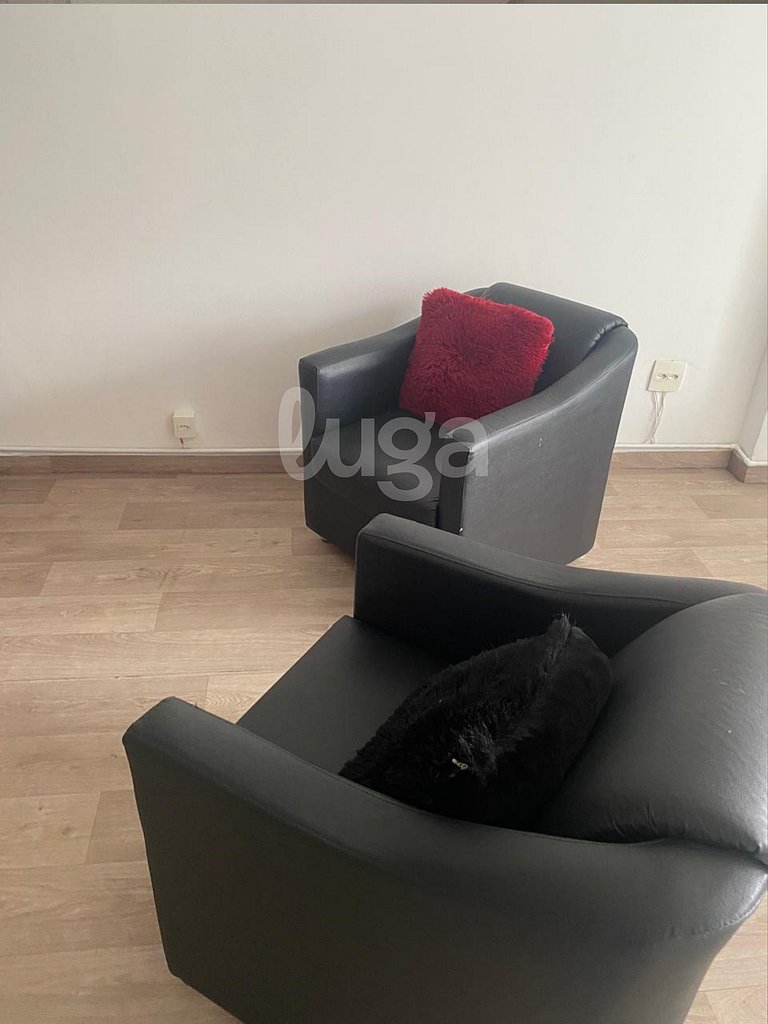 LUGA Practical apartment in downtown Rio