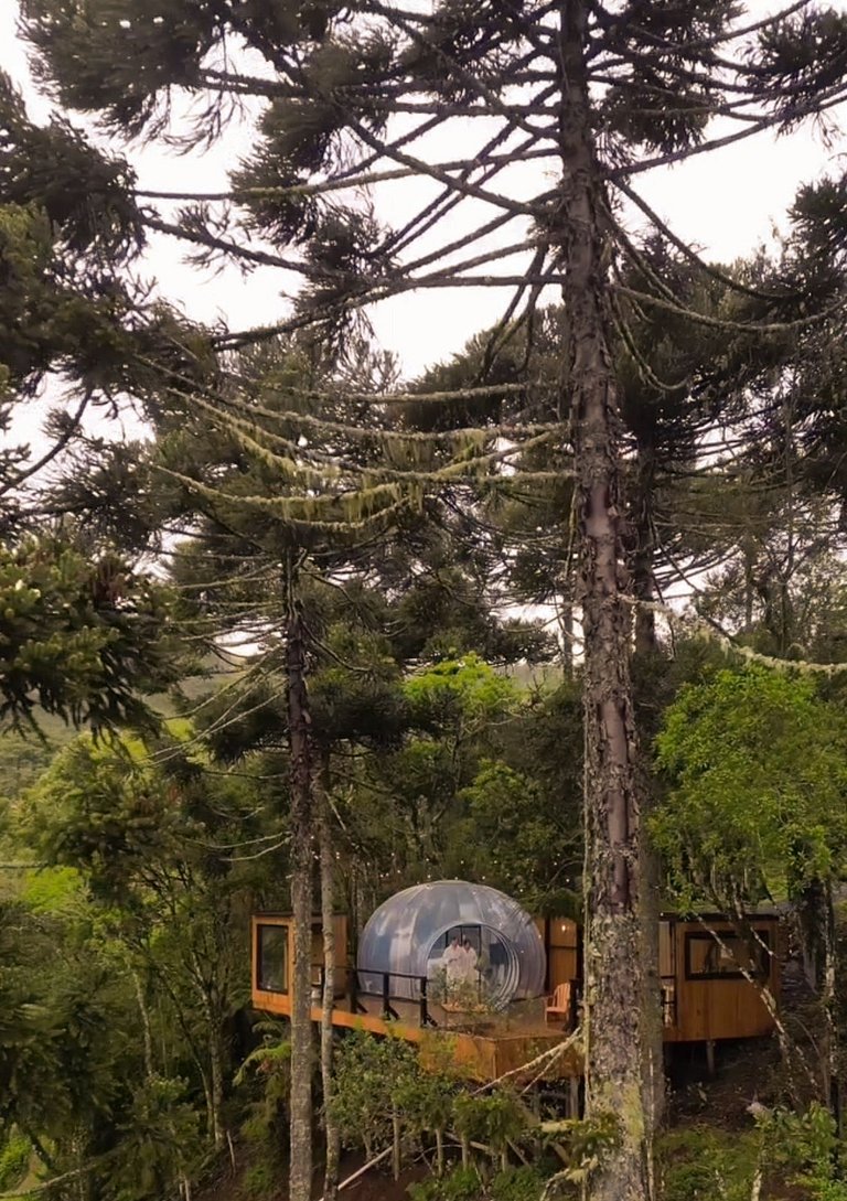 LUGA Bolha Araucária com Vista do Vale Urubici