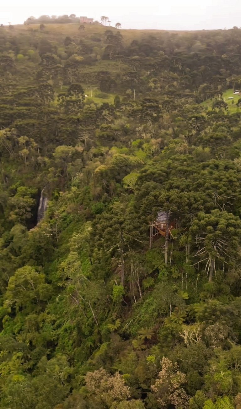 LUGA Bolha Araucária com Vista do Vale Urubici